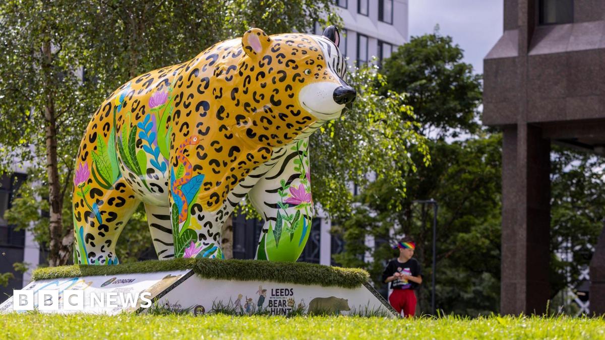 A large cartoon-like bear sculpture, which has been decorated with a blend of colourful patterns resembling the yellow and black markings of a cheetah and the black and white stripes of a tiger, as well as flowers and leaves. It is positioned on a plinth on a patch of grass beside two tall buildings and trees.