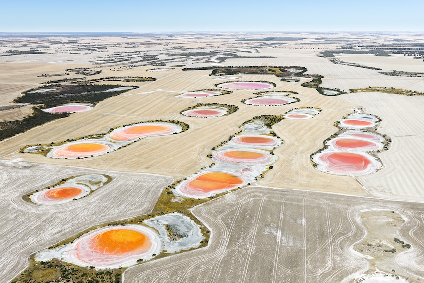 Over a dozen orange lakes surrounded by white salt borders sit in farm land.