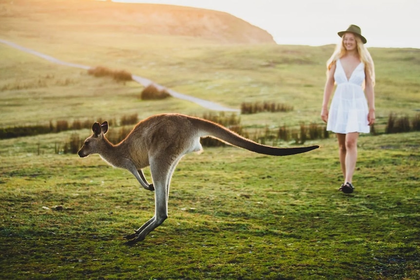 kangaroo bounding across path of woman in white dress in dawn light