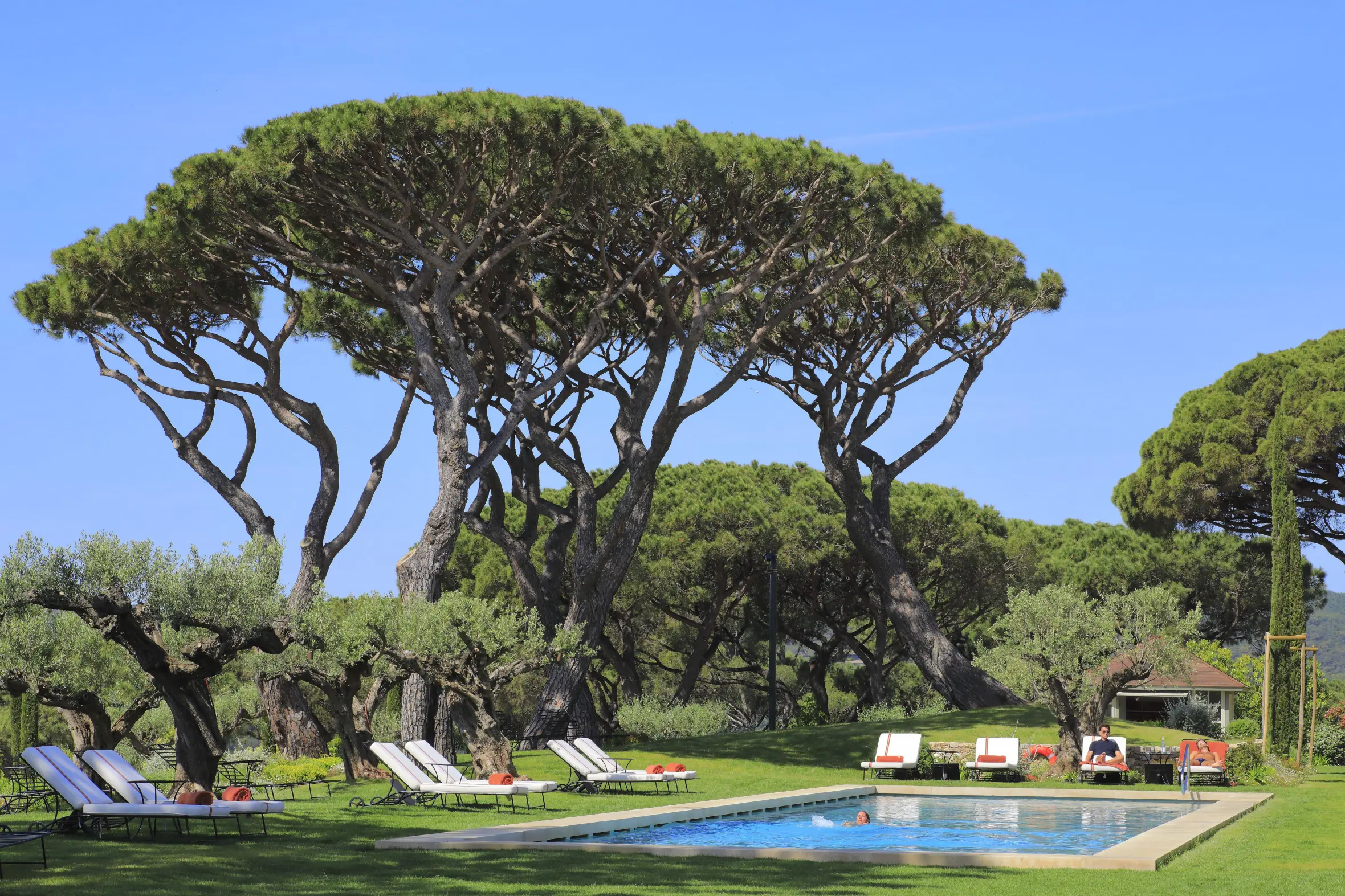 A swimming pool with lounge chairs and umbrella pines at the Airelles hotel in Saint-Tropez.