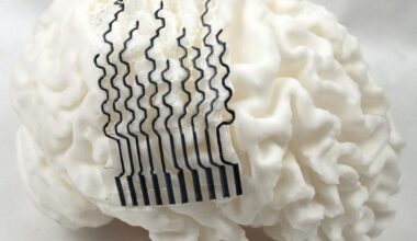 Neuroscience News logo for mobile.