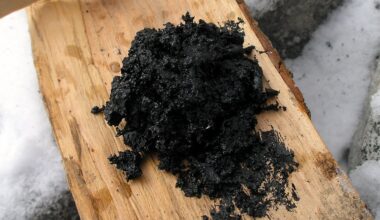 Neanderthals Used Ancient Gloop as Antibacterial Medicine, Study Suggests : ScienceAlert