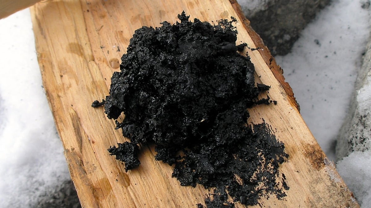 Neanderthals Used Ancient Gloop as Antibacterial Medicine, Study Suggests : ScienceAlert