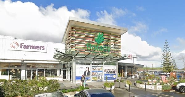 Woman tries to sneak haul past police investigating shoplifter
