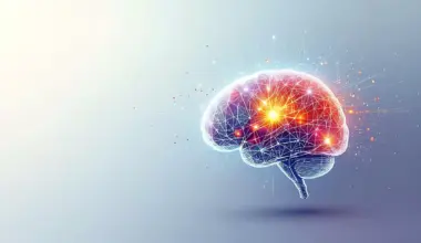 Scientists discover brain sugar signals that control myelin growth