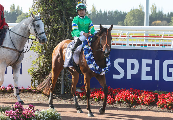 Ace Lawson-Carroll returns victorious aboard Bona Sforza following the Listed NZB Insurance Stakes (1600m) at Riccarton on Saturday. Photo: Race Images South