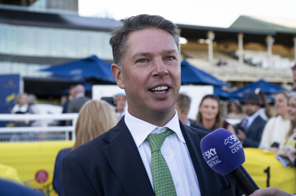 James Harron purchased Fireball from Inglis Easter for $460,000 - image Bradley Photos