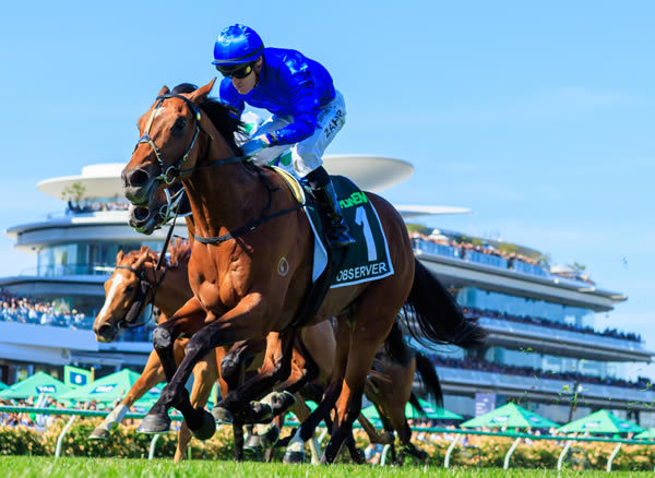 Observer won both the G1 Victoria Derby and Australian Guineas - image Grant Courtney