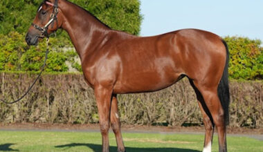 Lot 87 - click to see her page.