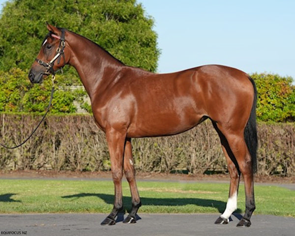 Lot 87 - click to see her page.