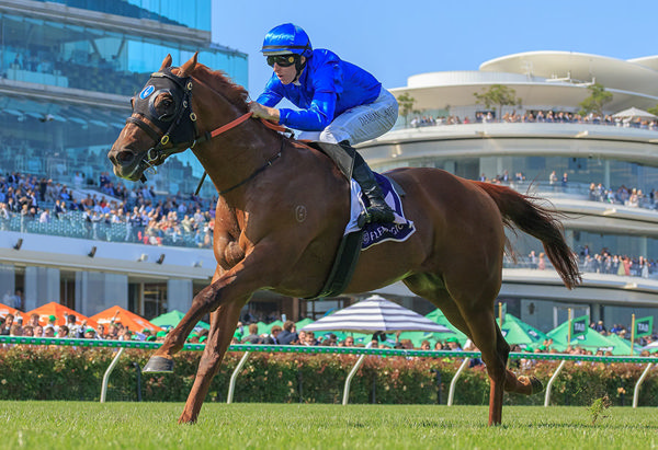Tentyris won the G1 Lightning Stakes and Coolmore Stud Stakes - image Grant Courtney
