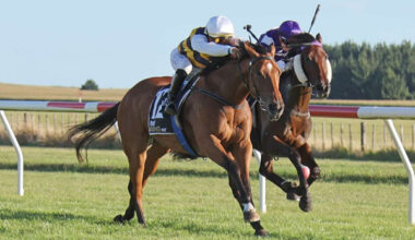 Single Red is set for the Gr.1 Queensland Oaks (2200m) at Eagle Farm. Photo: Race Image (Jane Davidson)