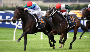 Solid Gold (inside) winning the Gr.3 Championship Stakes (2100m) at Ellerslie last Saturday. Photo: Kenton Wright (Race Images)