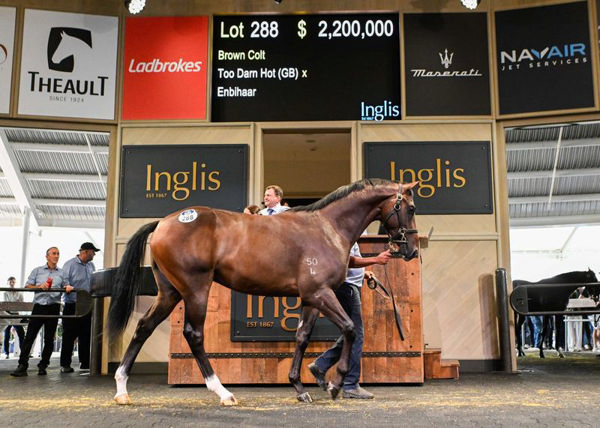 Too DArqn Hot (GB) colt from Enbihaar made $2.2million on his second turn around the Riverside Stables sale ring.