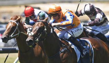 To Bravery Born will continue his racing career in Hong Kong. Photo: Kenton Wright (Race Images)