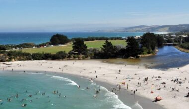 Surfer bitten by sea lion at Brighton Beach