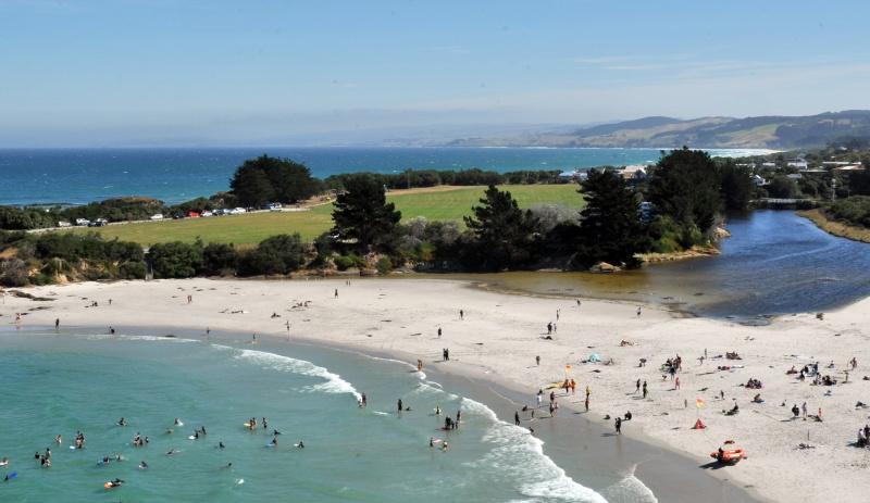 Surfer bitten by sea lion at Brighton Beach