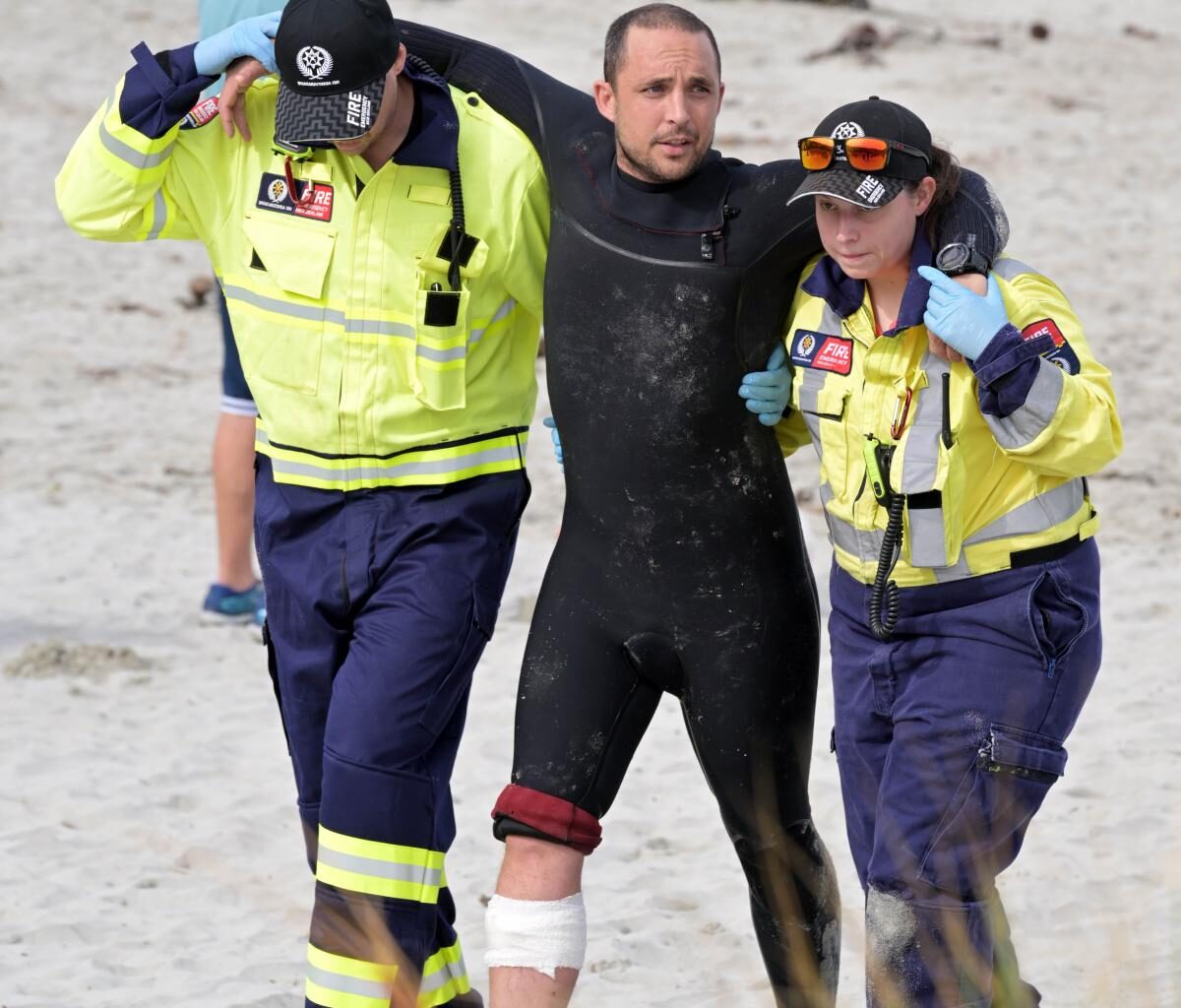 Surfer bitten by sea lion