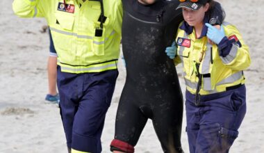 Surfer bitten by sea lion