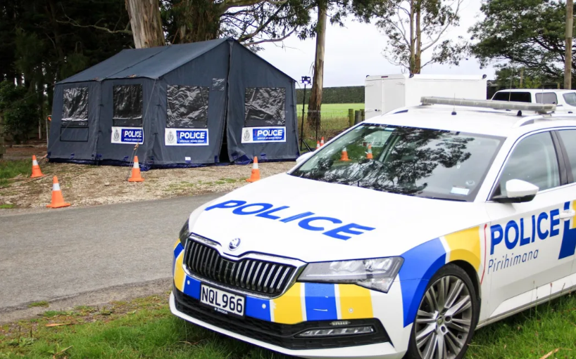 Teenager in court over elderly woman's murder