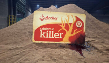 The supermarket trip that led to Fonterra admitting it broke the law