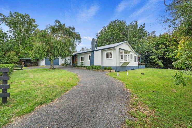 Mishka the cat muscled her way into listing photos for her home at 10 Astelia Way, in Waipahihi, Taupō. Photo / Supplied