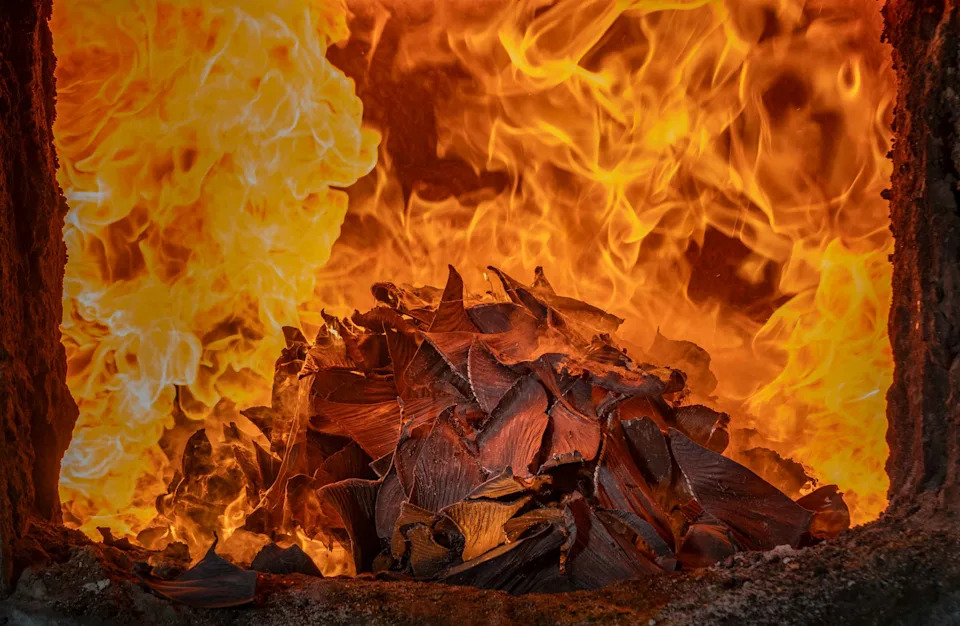 A pile of confiscated shark fins burns inside an industrial furnace, surrounded by towering walls of orange and yellow flame.