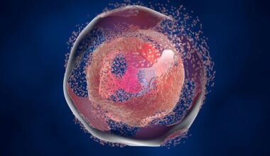 Ceramide Transport Drives Cellular Senescence