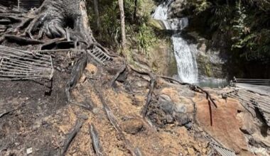 Popular Auckland waterfall track to partly re-open following fire
