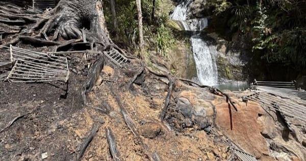 Popular Auckland waterfall track to partly re-open following fire
