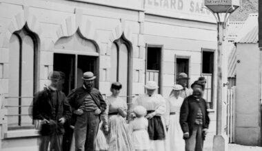 STIs less common than thought during gold rush