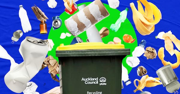 How Kiwis are recycling wrong – and how many are punished for it