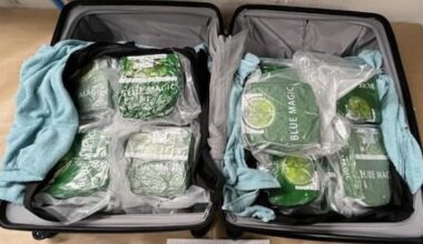 Sixteen arrested over alleged involvement in drug smuggling syndicate