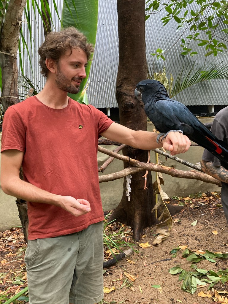 A man with curly brown hair and a closely trimed beard in a red shirt stands looking at a black cockatoo on his arm near trees.