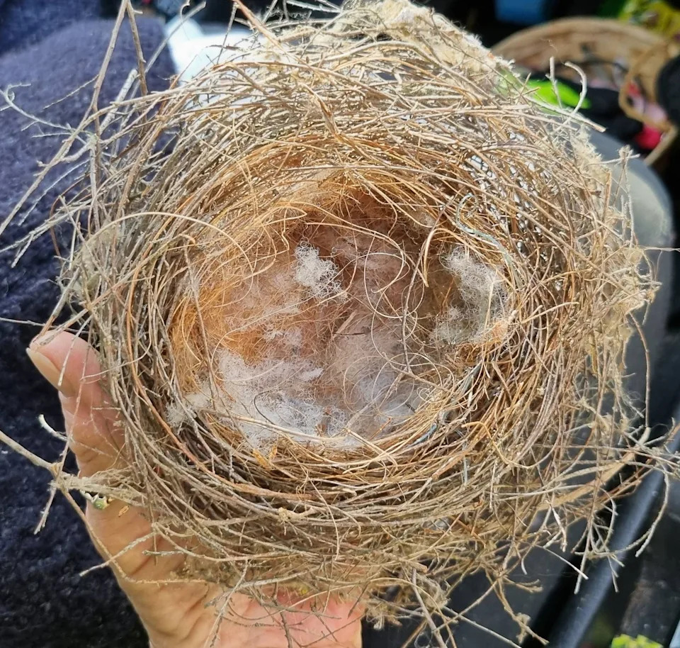 Close-up picture of the nest filled with synthetics.