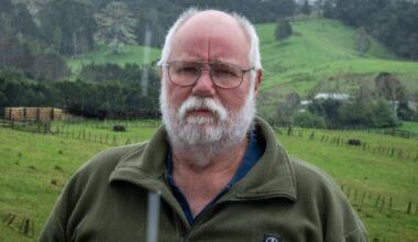 Auckland Council says mobile abattoir needs consent over blood discharge