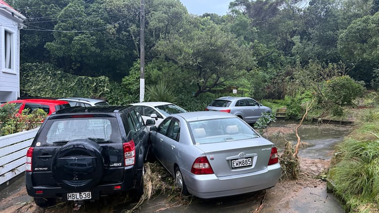 Damage in Wellington's Berhampore