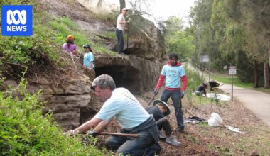 The 'mudcrabs' volunteering to remediate Sydney's Cooks River from toxic pollution