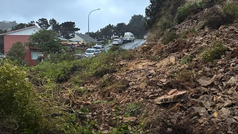 Debris from a slip in Vogeltown, Wellington