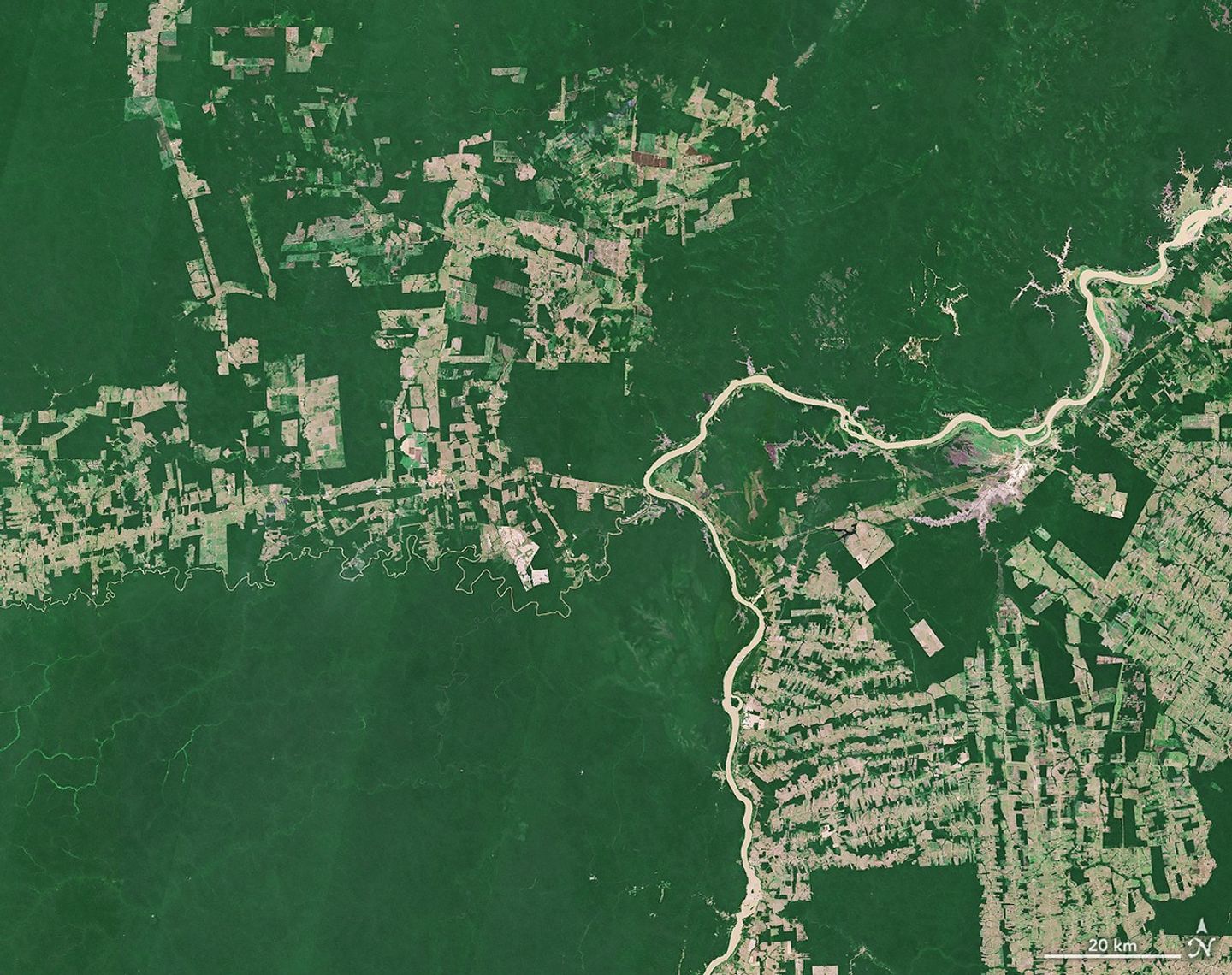 Satellite image of the Amazon rainforest showing dense green forest broken by brown patches of deforestation and infrastructure.