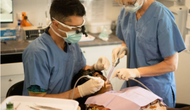 Survey shows overwhelming support for free dental care