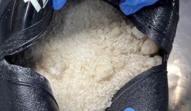 High-flying Otago academic entwined in $4m drug bust