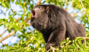 Yahoo lifestyle home