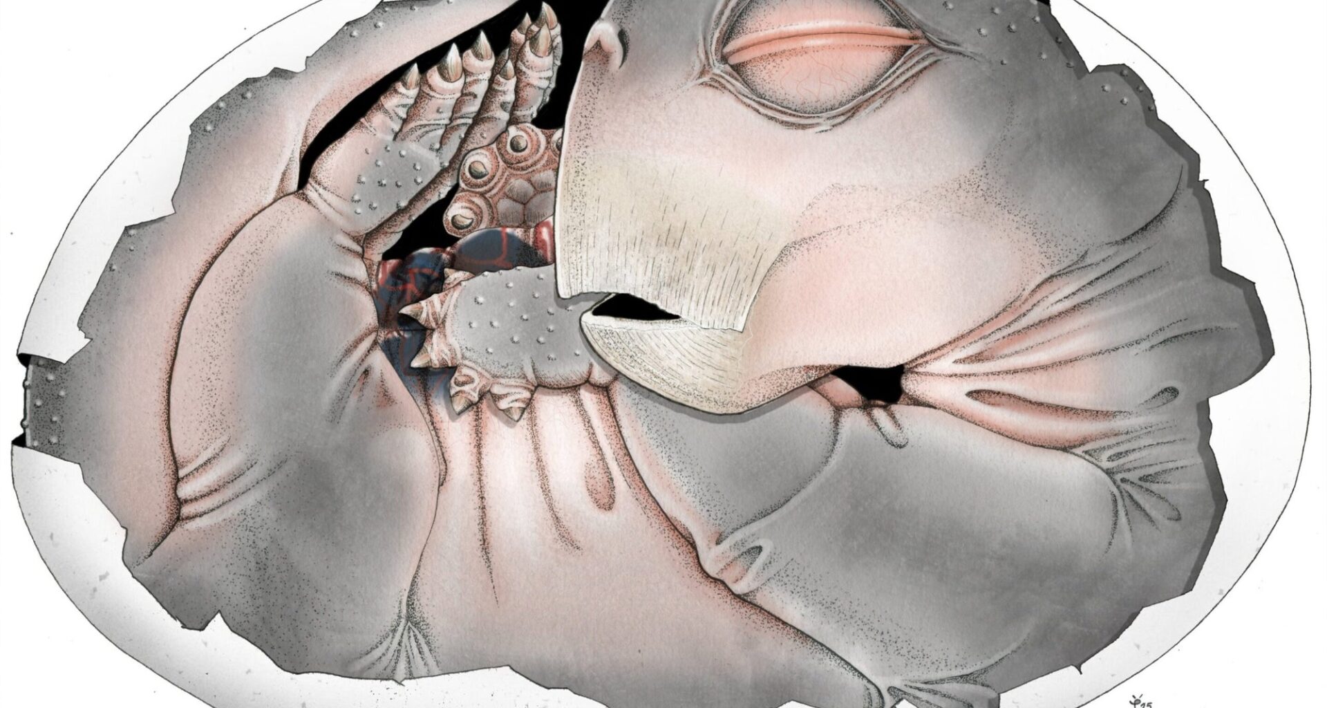 250-million-year-old fossil proves that mammal ancestors laid eggs