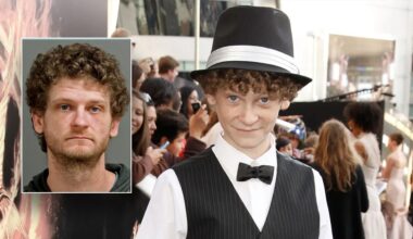 'Hunger Games' actor Ethan Jamieson arrested for alleged gun assault