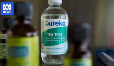 Australian tea tree oil industry faces uncertainty over EU ban proposal