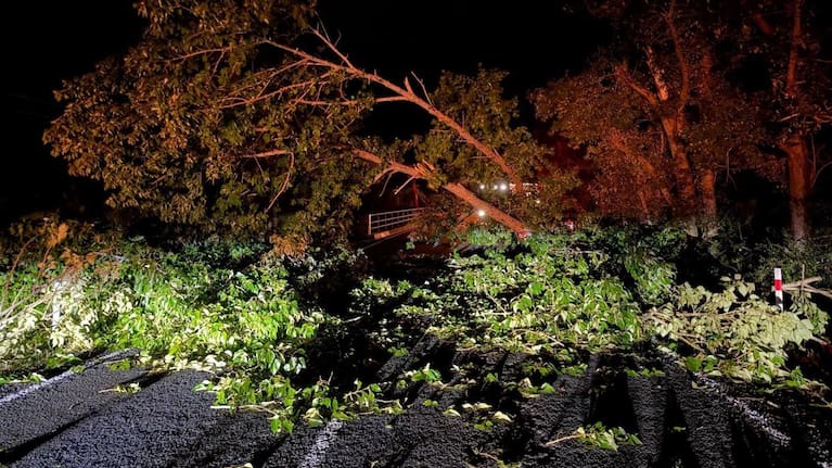 State Highway 1 near Mangamuka, Northland was briefly blocked this morning after a tree fell and damaged a guardrail.