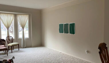 A "Blank, Beige Box" Living Room Transformed into a Dream Luxe Library