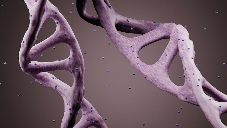 Computer-generated illustration of DNA double helix