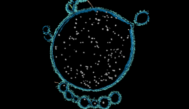 ‘First contact’ that may have led to complex life on Earth finally witnessed by scientists